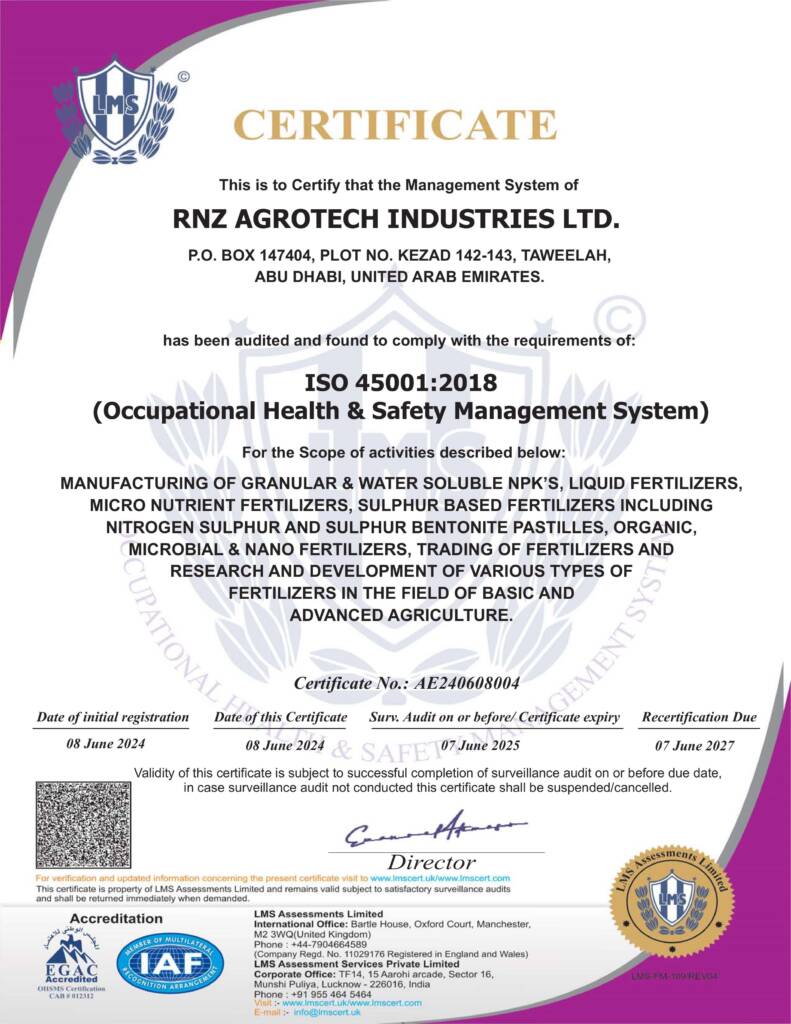 ISO 45001 Certificate RNZ AGROTECH Industries LTD 08 06 2024