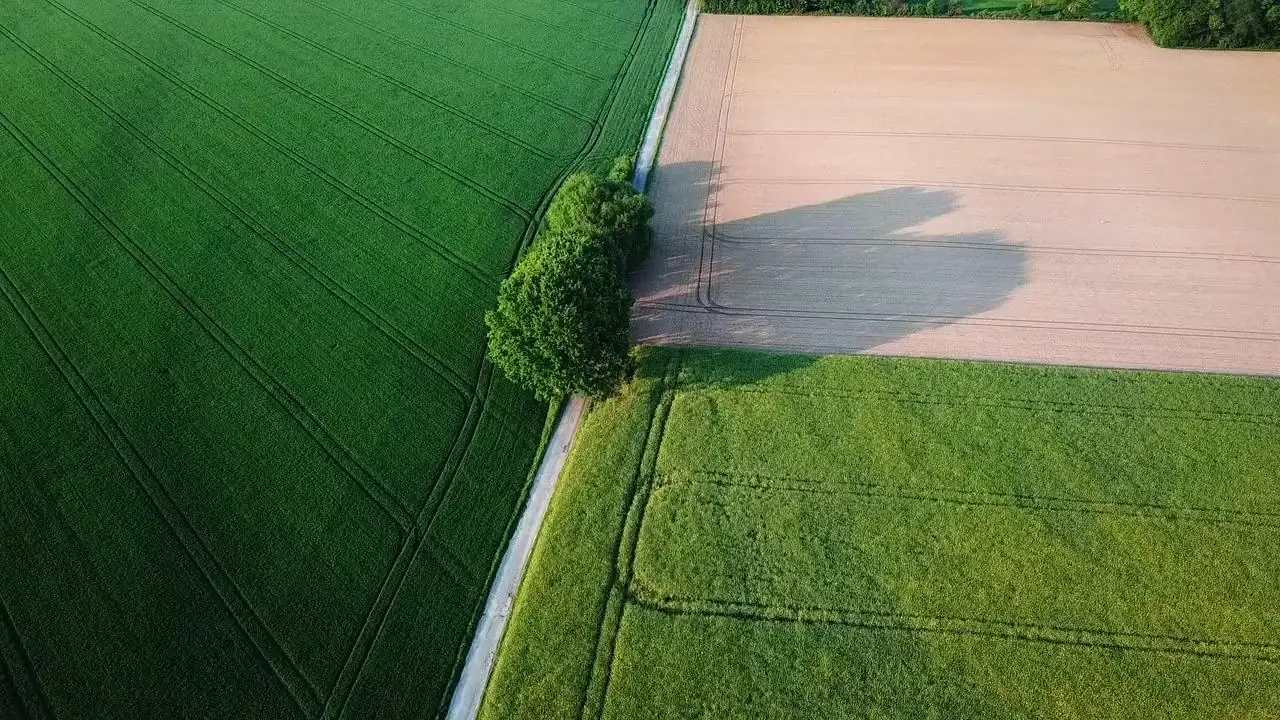 Aerial view of cultivated farm fields